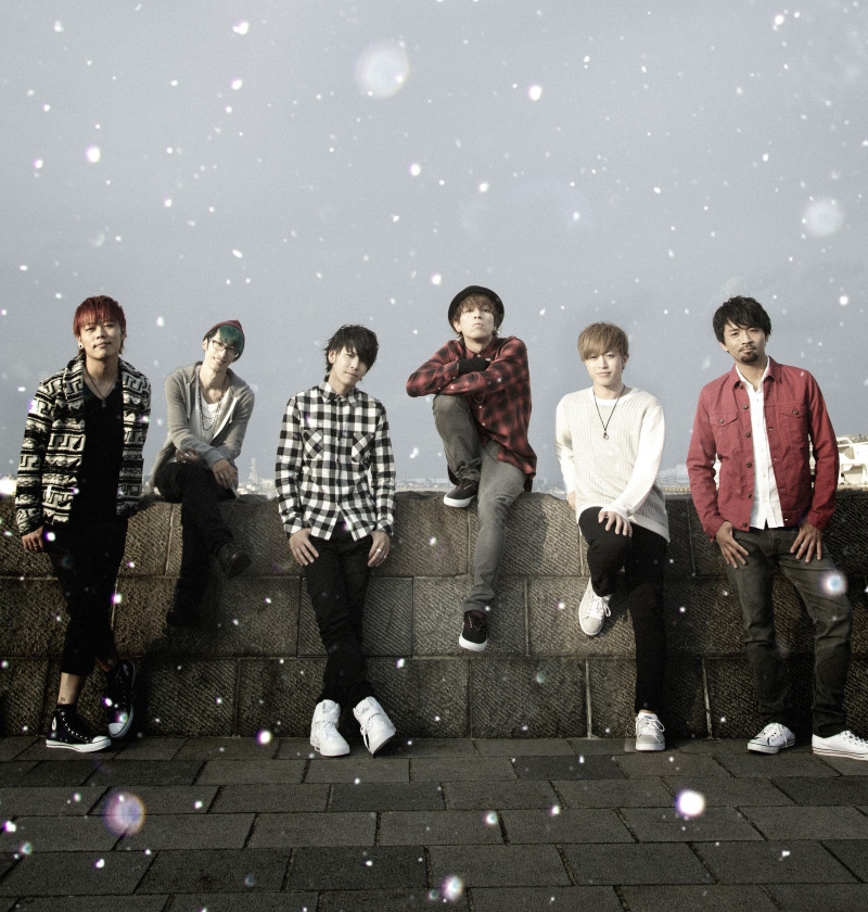BNV_Apic_B+